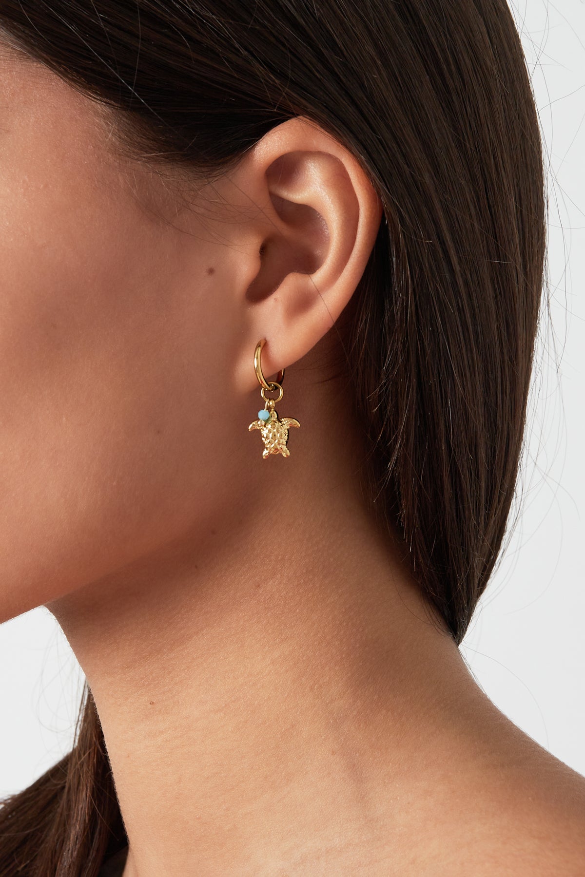 Elegant Drop Earrings in Silver and Gold