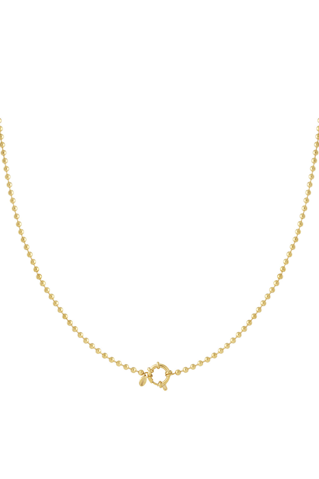 Stylish Gold Stainless Steel Short Necklace for Daily Wear