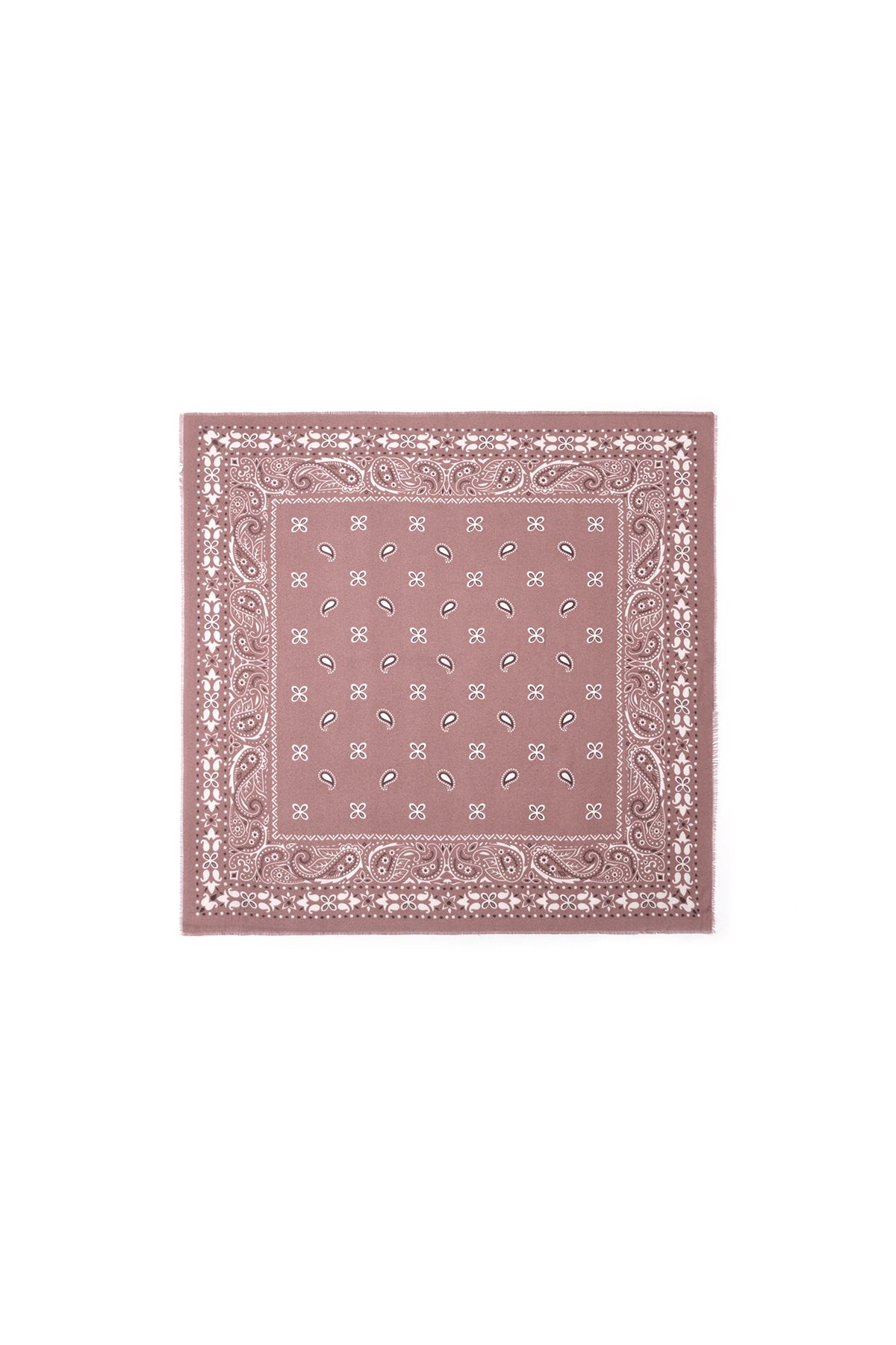 Bufandas de invierno con estampado paisley, de poliéster, informales, para uso diario.