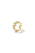 anillo círculos