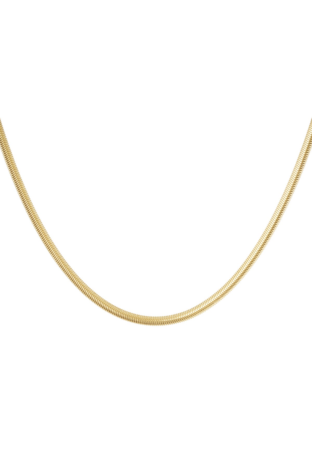Collar plano con estampado - dorado-4.0MM