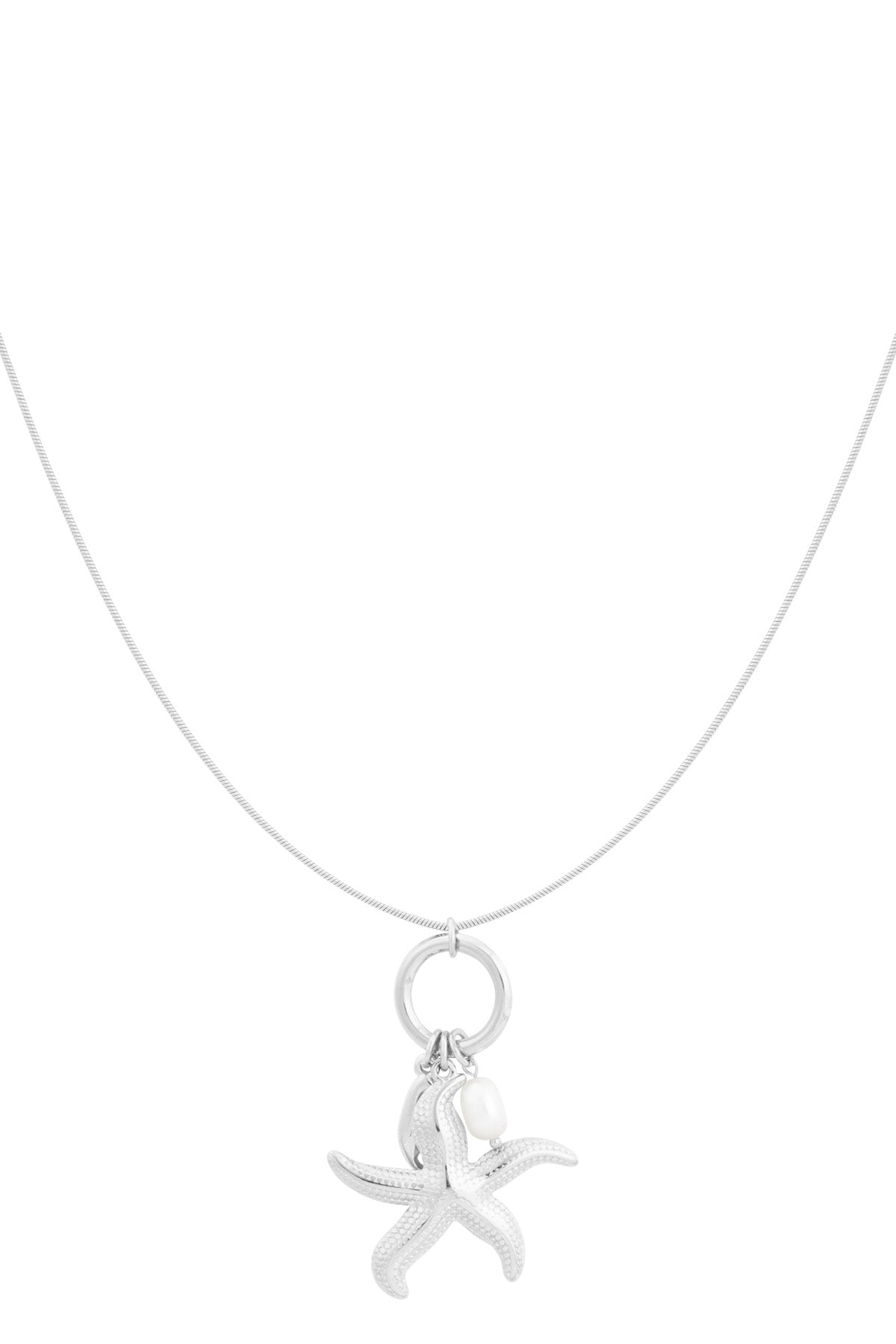 collar estrella del mar