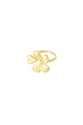 Stylish Statement Ring in Silver & Gold