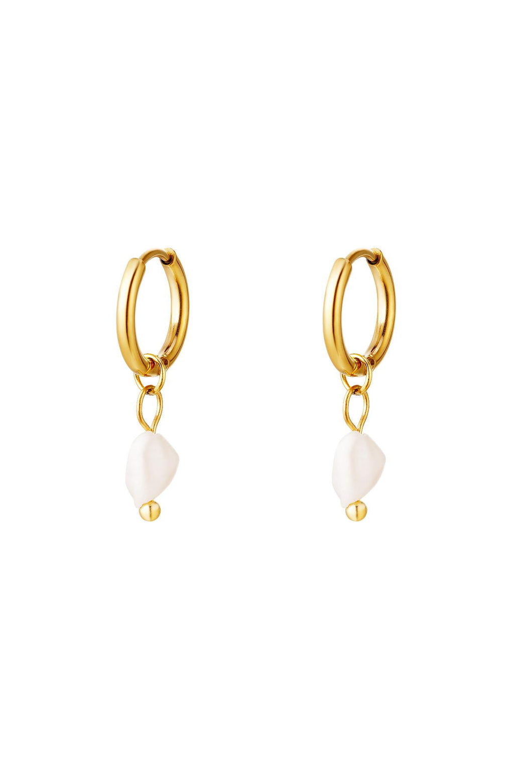 Elegant Stainless Steel Drop Earrings in Silver & Gold