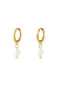 Elegant Stainless Steel Drop Earrings in Silver & Gold