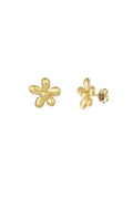 Stylish Mini Stud Earrings in Silver & Gold