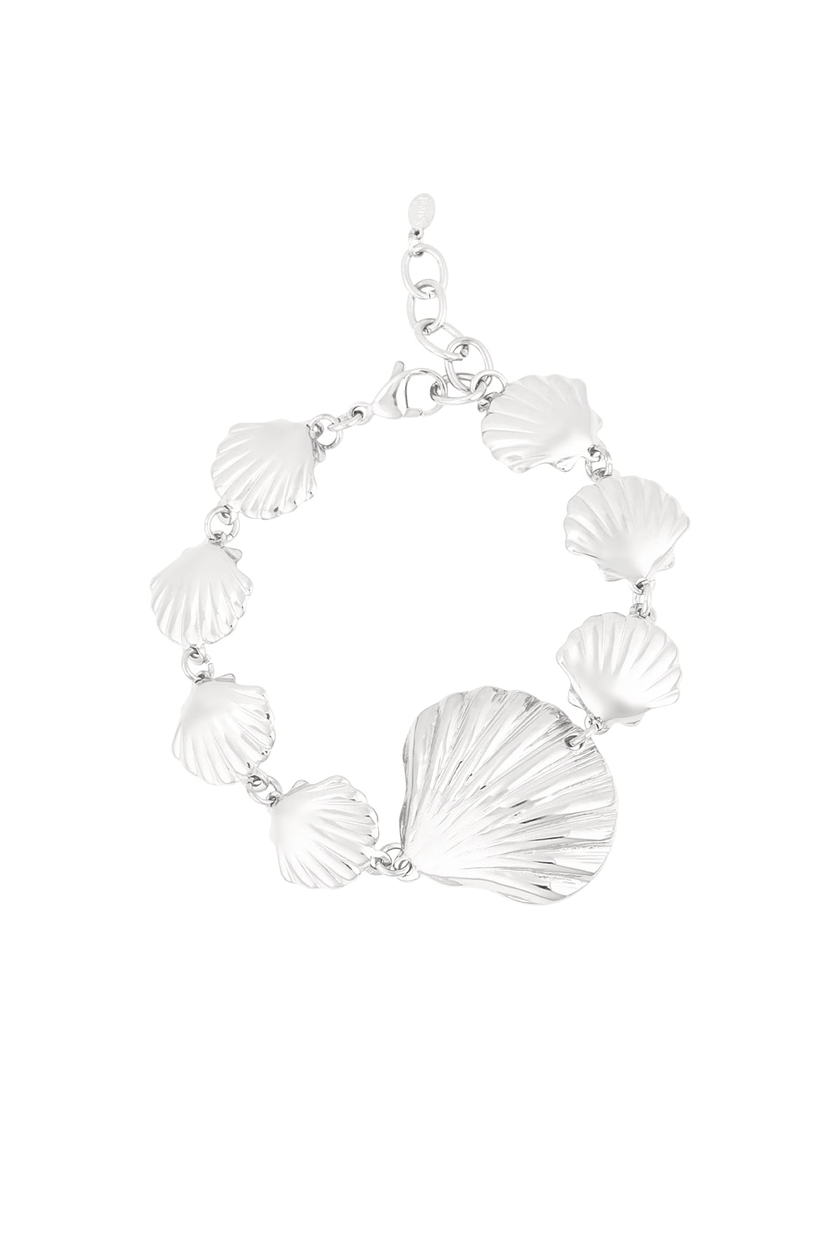pulsera amante de las conchas marinas