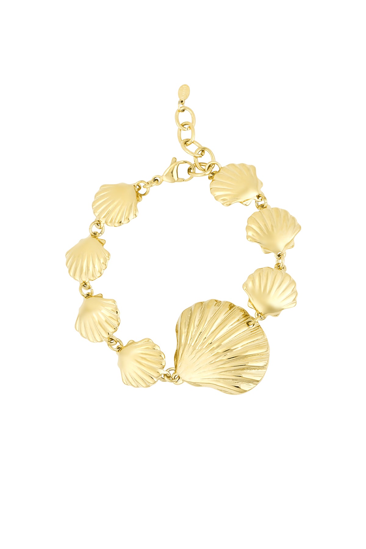 pulsera amante de las conchas marinas