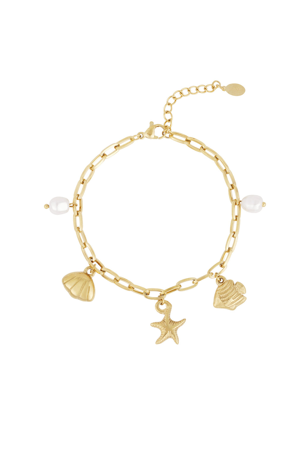 Elegant Charm Bracelet in Silver & Gold Tones