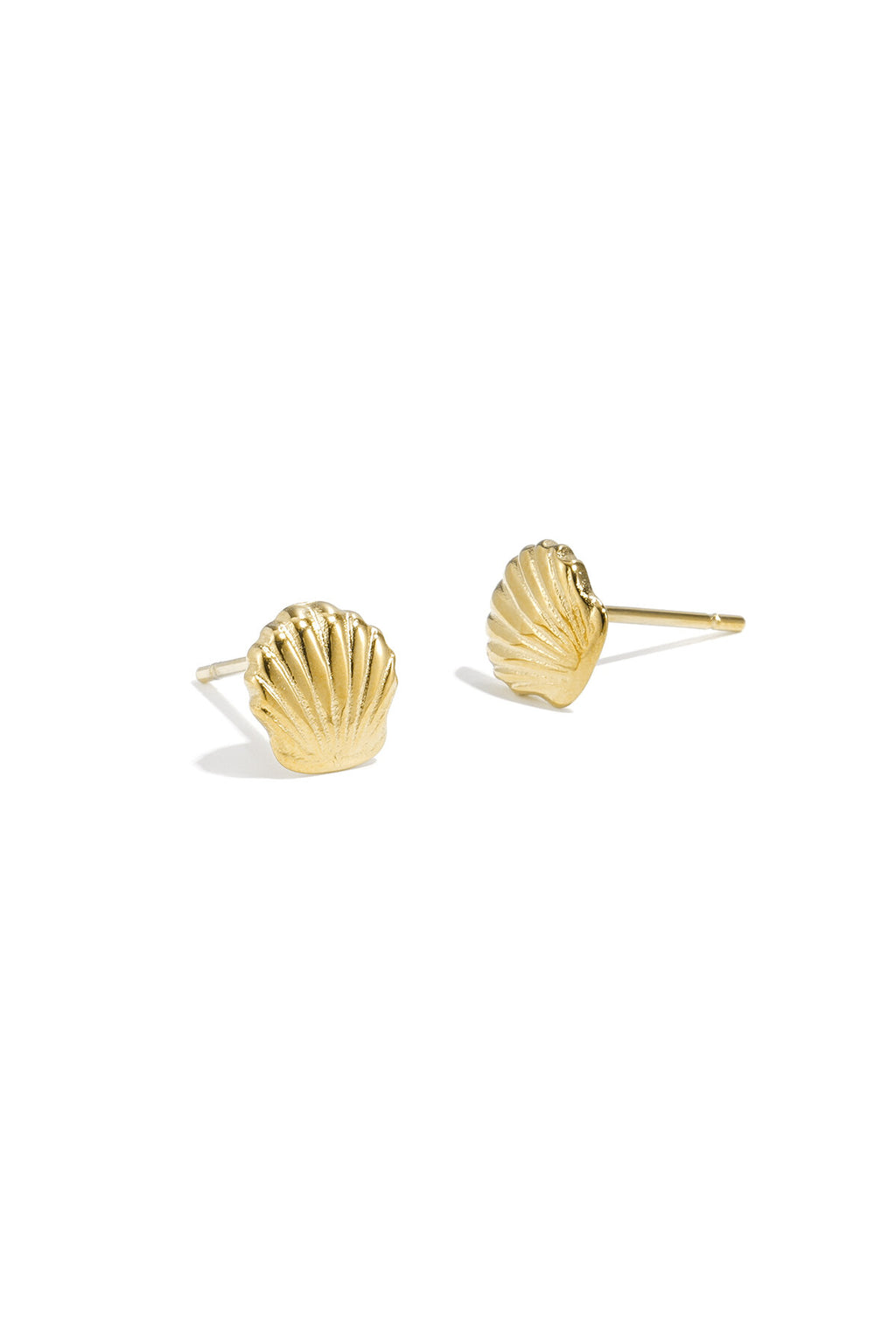 Stylish Stainless Steel Shell Stud Earrings for Women