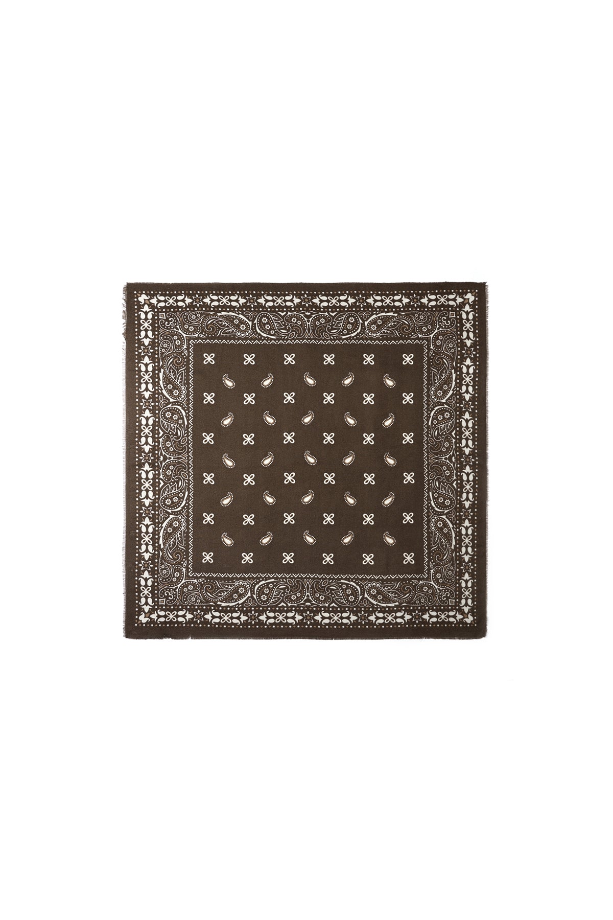 Bufandas de invierno con estampado paisley, de poliéster, informales, para uso diario.