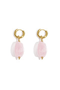 Stylish Resin Drop Earrings for Women
