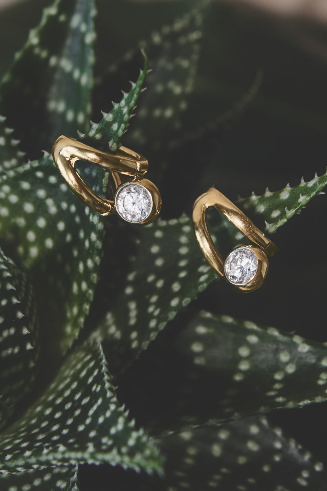 Pendientes de aro de acero inoxidable con forma irregular, sencillos, de la serie Daily Simple, joyería para mujer.
