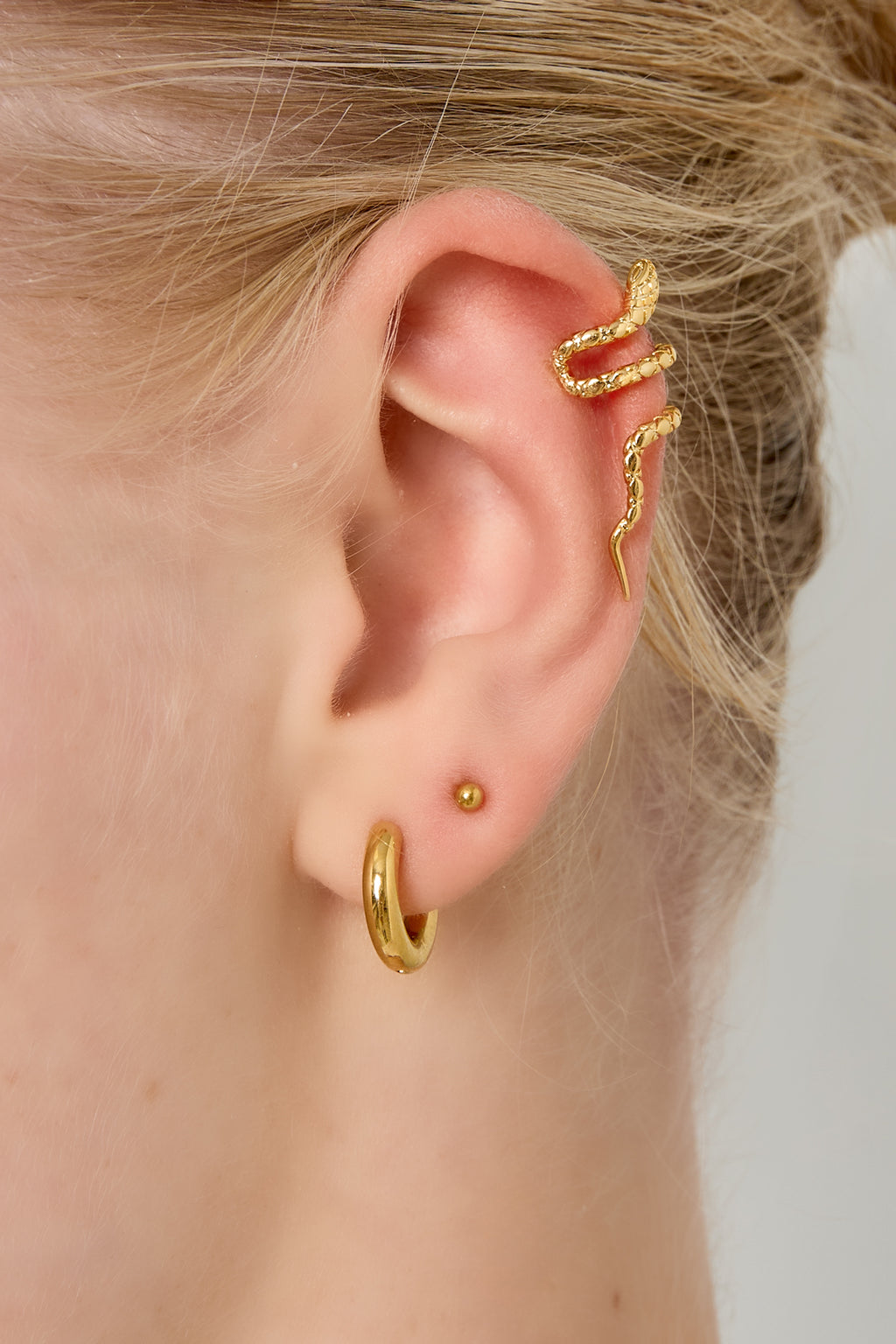 Puños de oreja de cobre Animal Daily