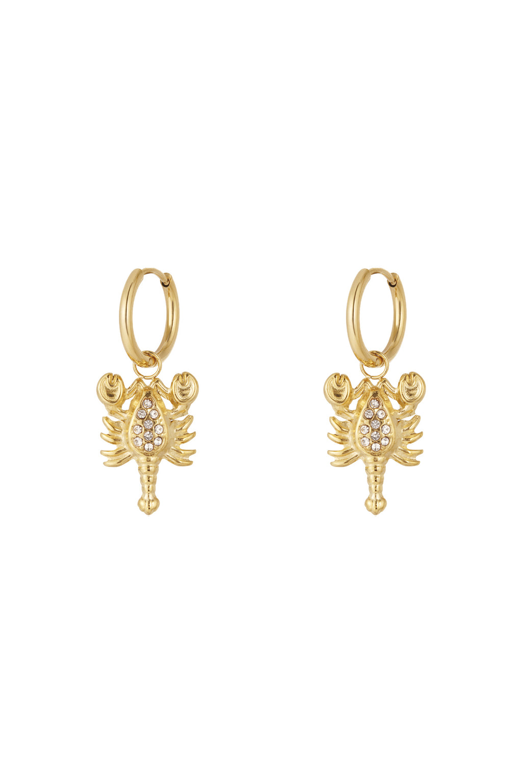 Elegant Drop Earrings for Women - Silver & Gold