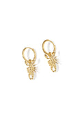 Elegant Drop Earrings for Women - Silver & Gold