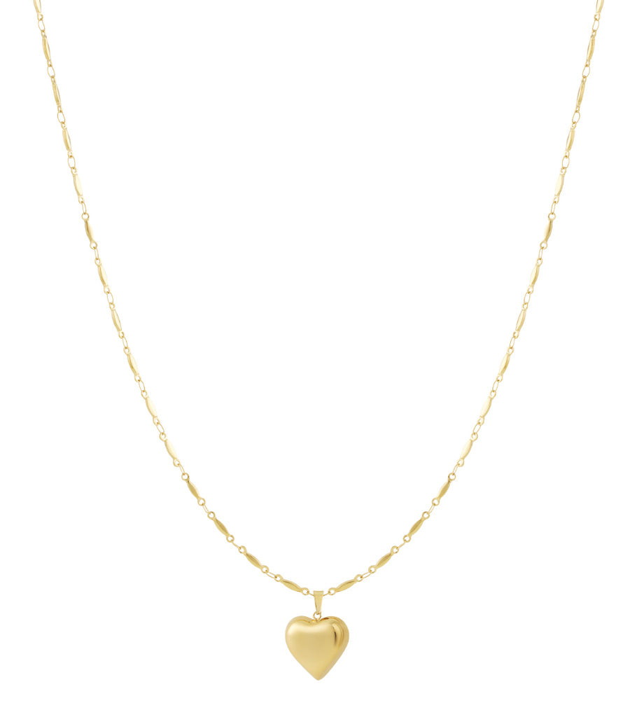 Elegant Long Heart Necklace in Silver & Gold