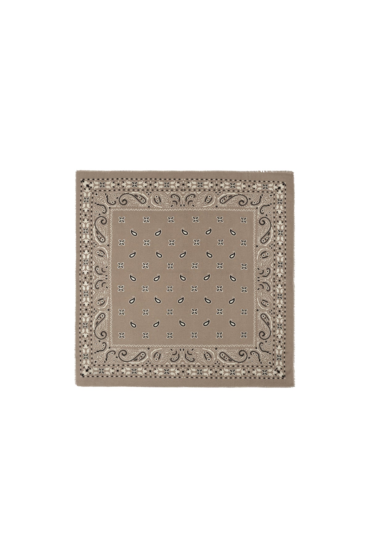 Bufandas de invierno con estampado paisley, de poliéster, informales, para uso diario.